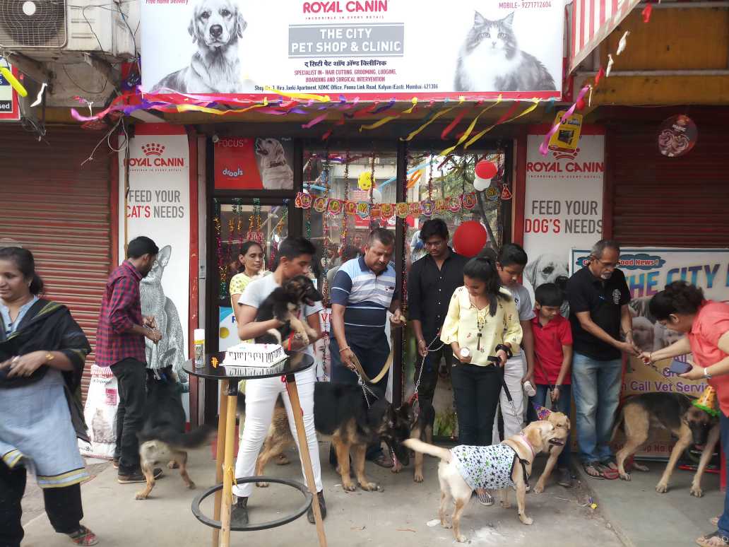 The City Pet Shop & Clinic Kalyan Pet Store
