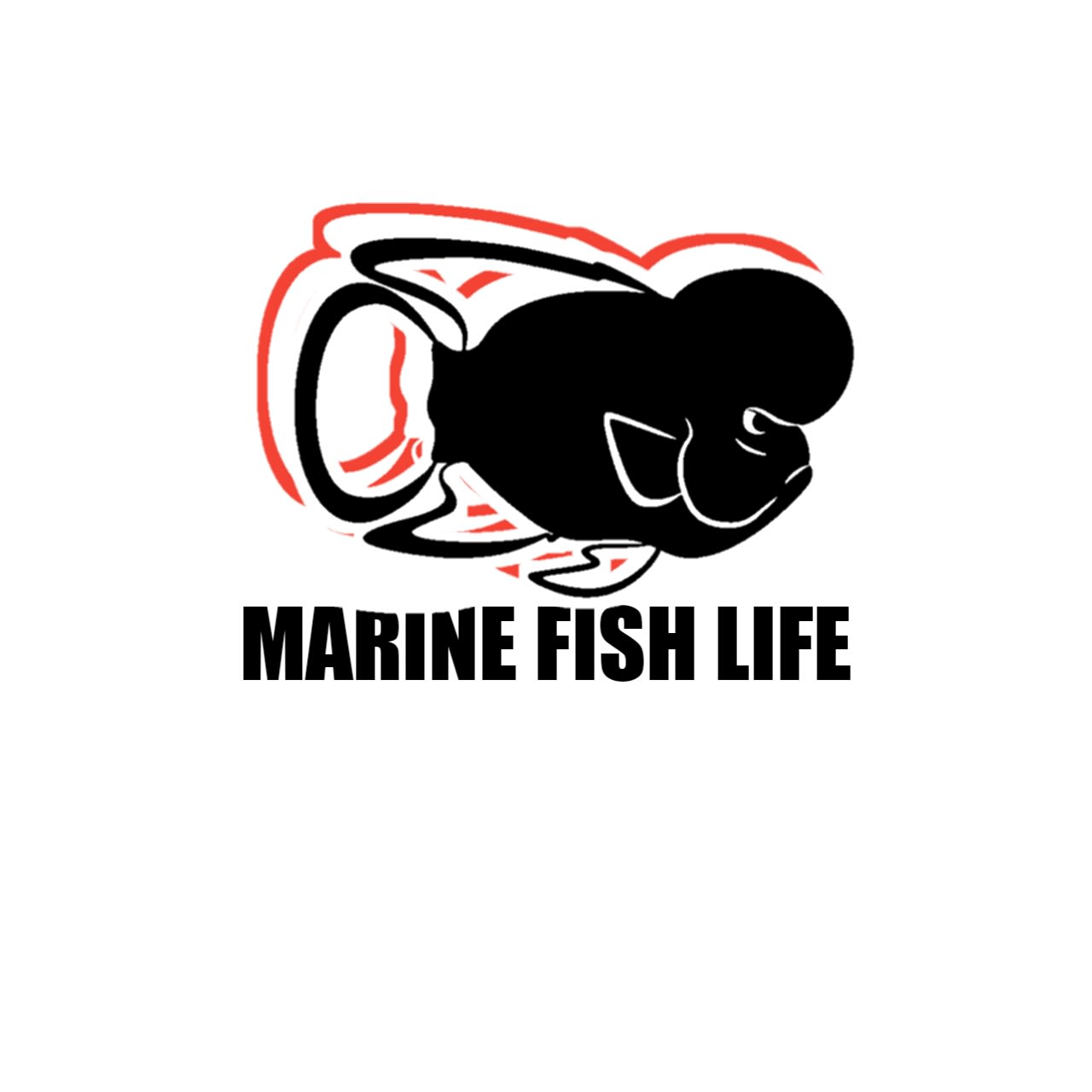 MARINE FISH LIFE