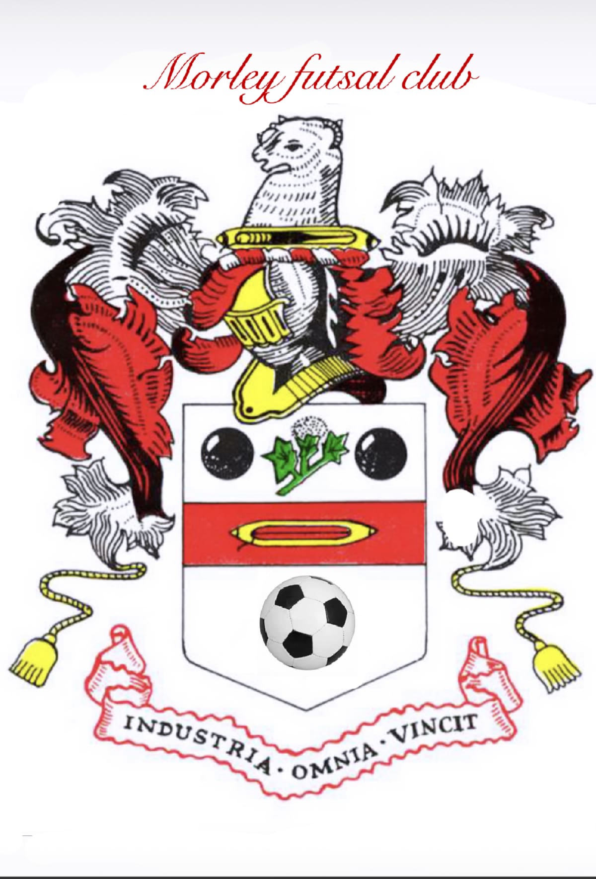 Morley Futsal Club
