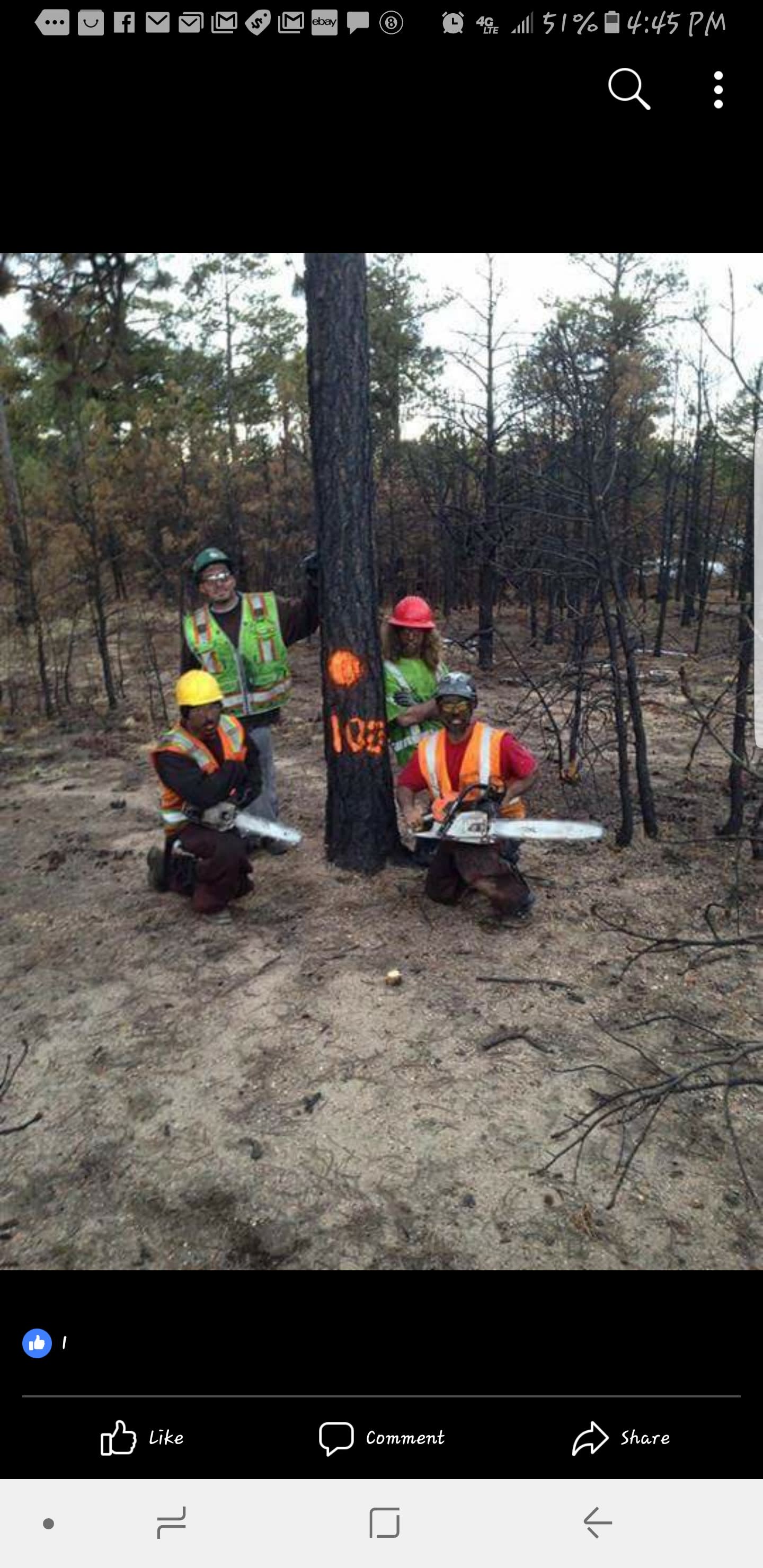 A New Leaf Tree Service