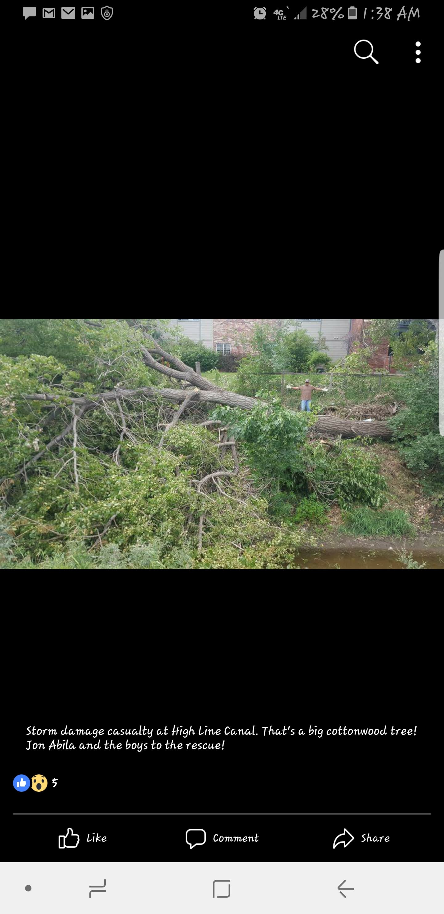 A New Leaf Tree Service