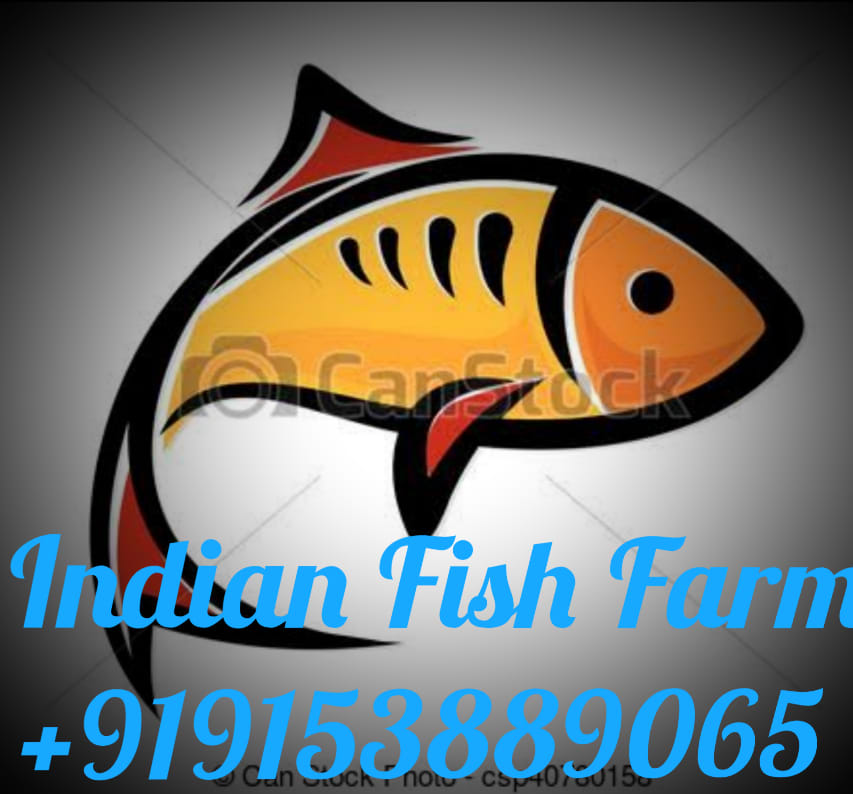 Indian Fish Farm