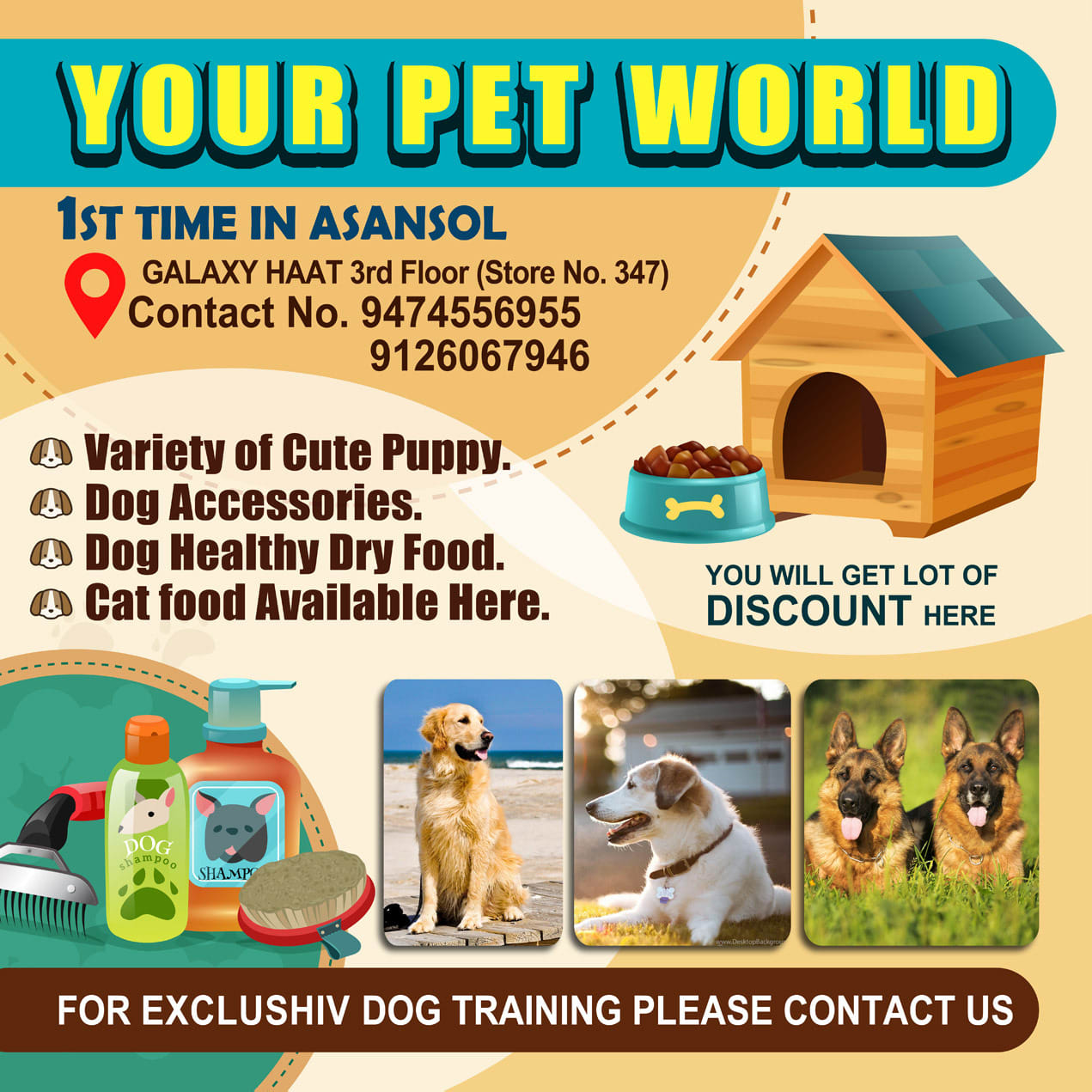 Your Pet World