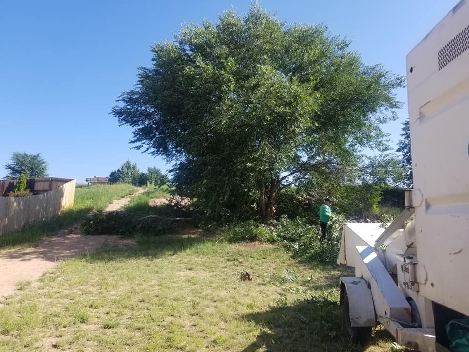 A New Leaf Tree Service