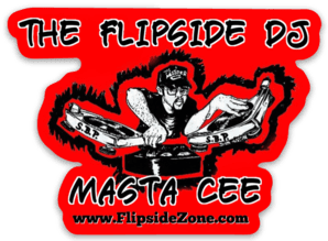Flipside Zone