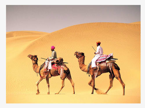 Rajasthan Tour and Travel Service