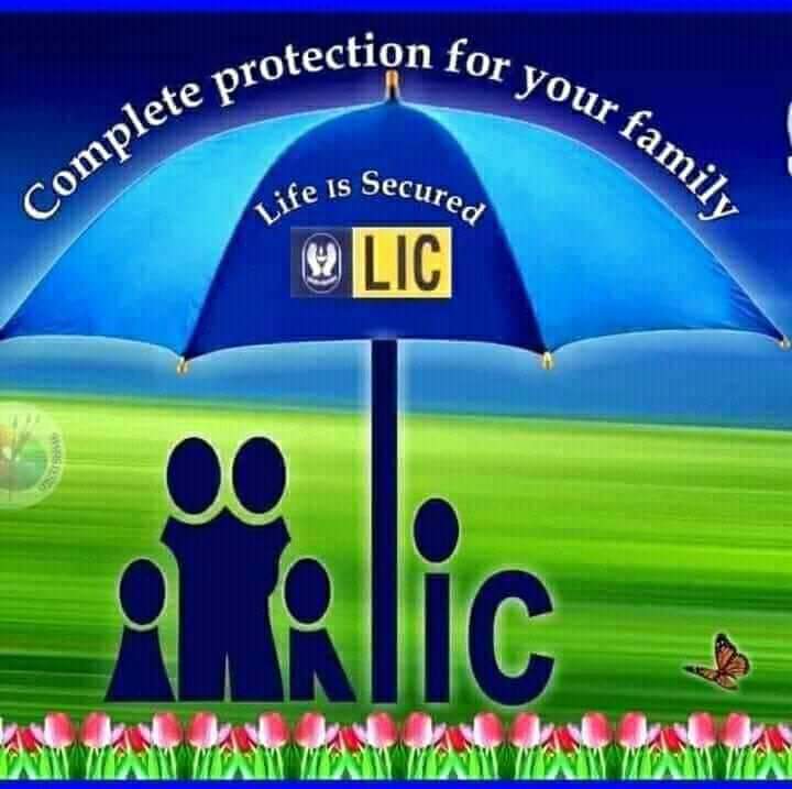Life Insurance Corporation Of India