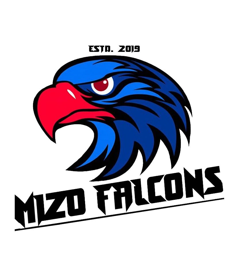 Mizo Falcons