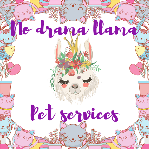 No Drama Llama Pet Services