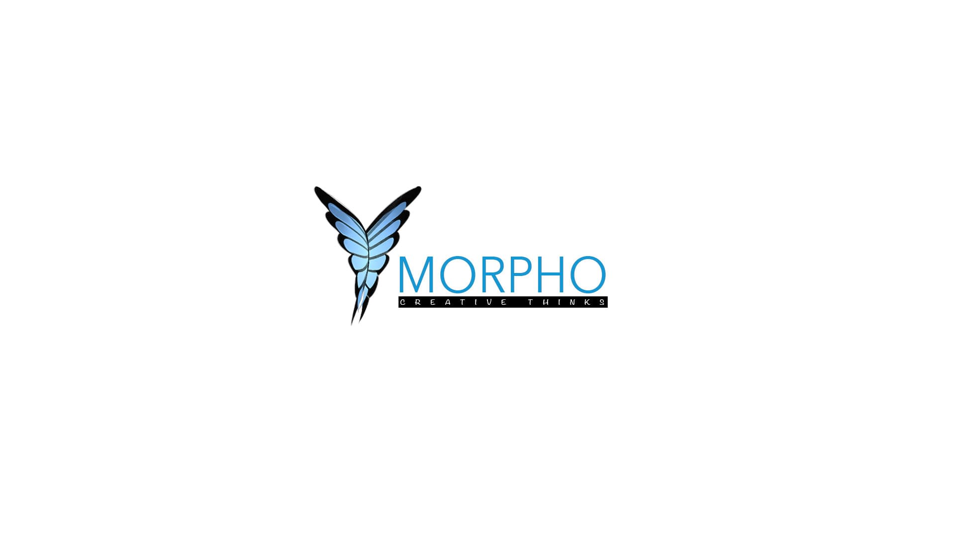 Morpho Creative Thinkings
