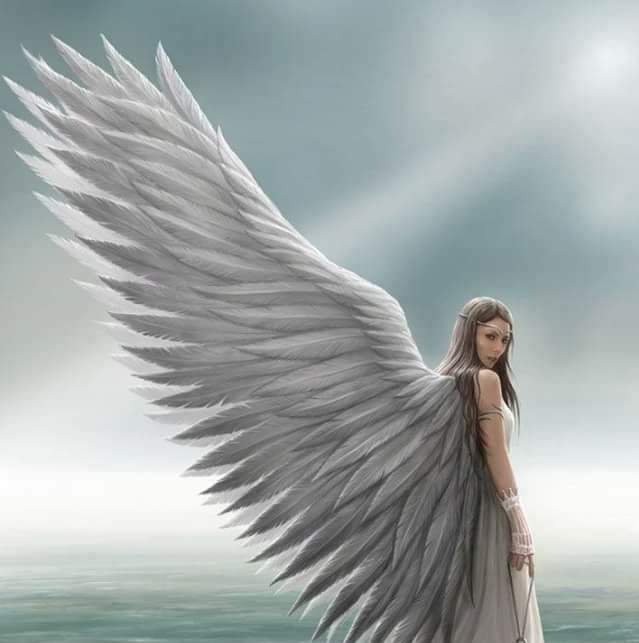 Angel wings medium & psychic reads