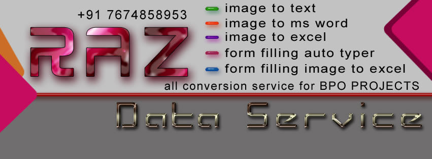 Raz Data Service