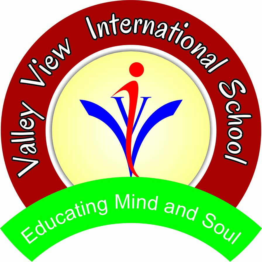 Valley View International school