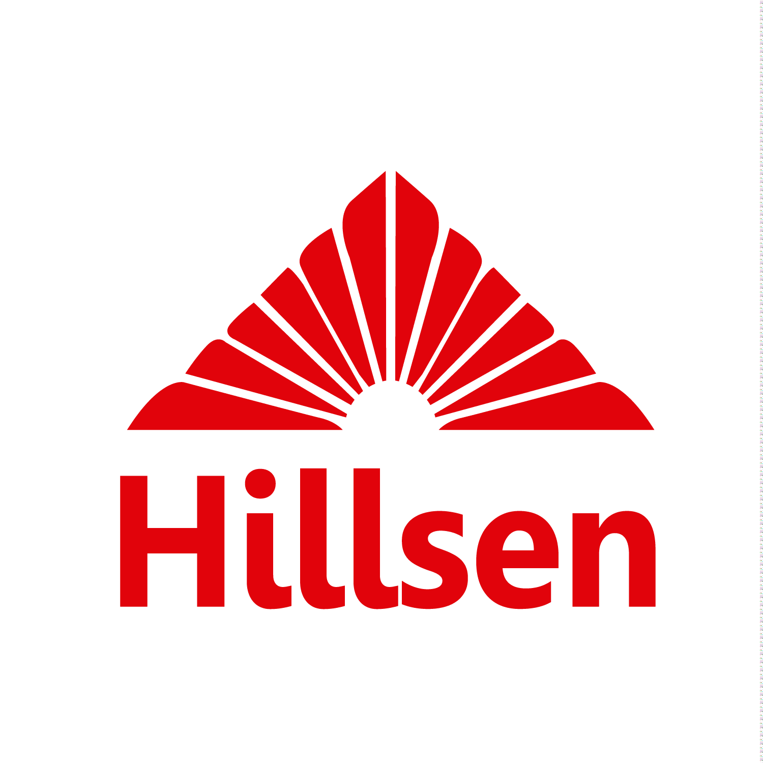 Hillsen Consultores