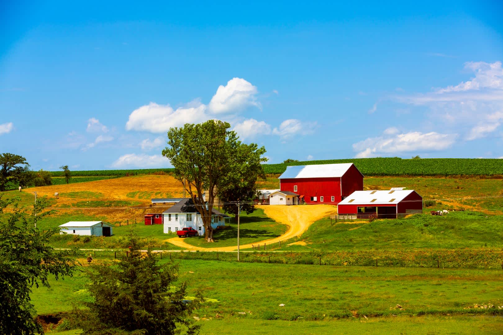 Hawkeye Homestead photo