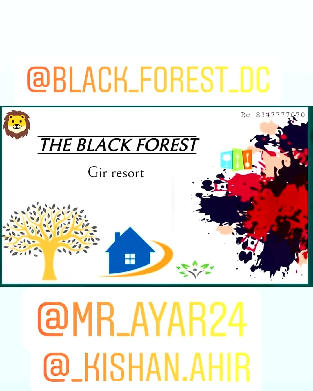 The Black Forest