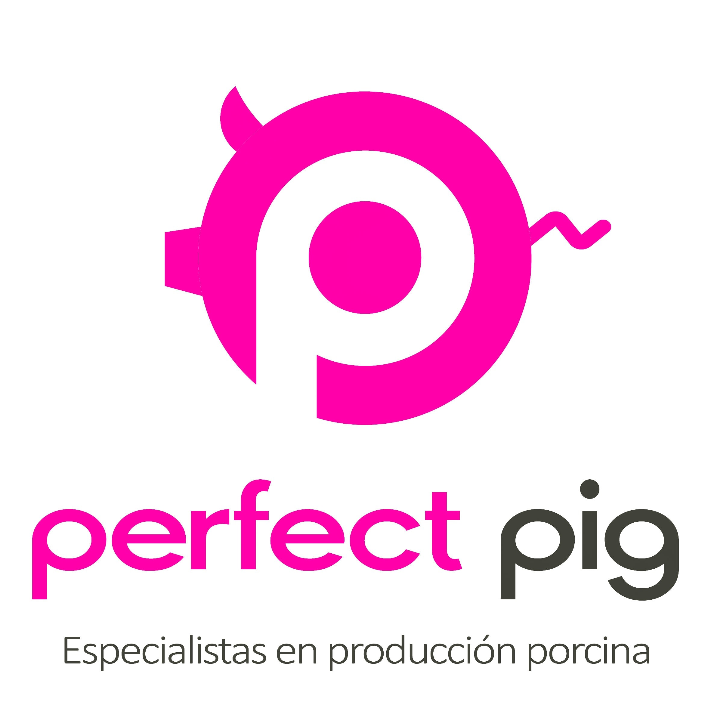 Perfect Pig