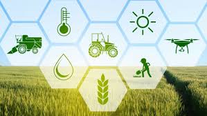 Solowiz Farms Limited