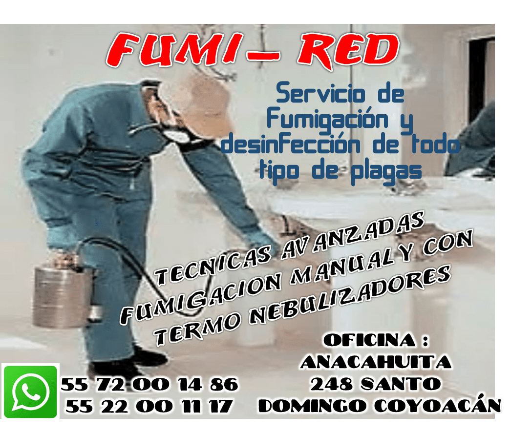 Fumi Red