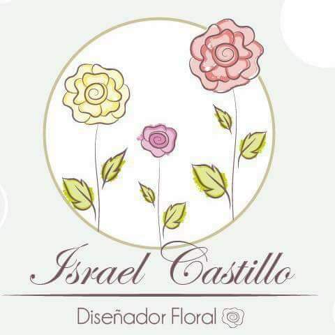 Israel Castillo Diseñador