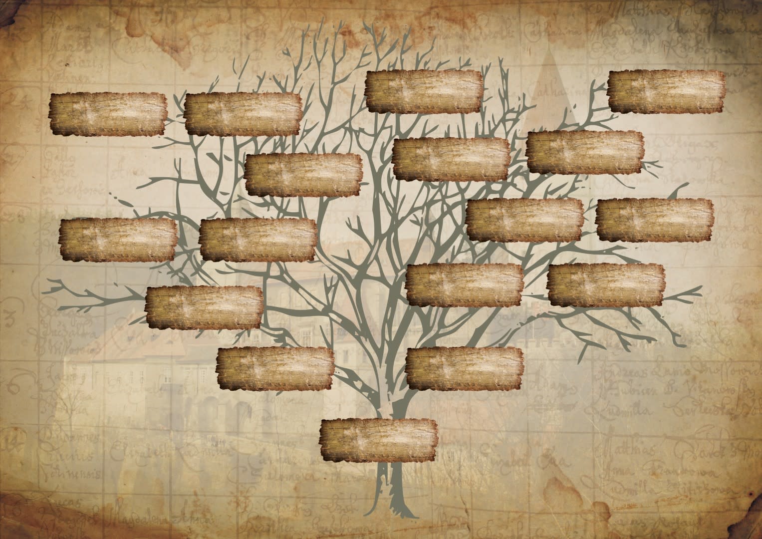 Генеалогическое дерево на пергаменте