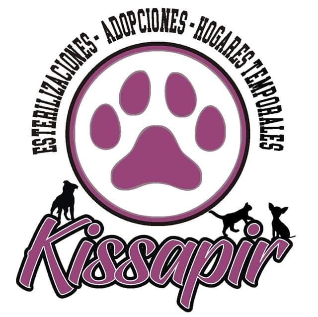 Adopciones Kissapir  89