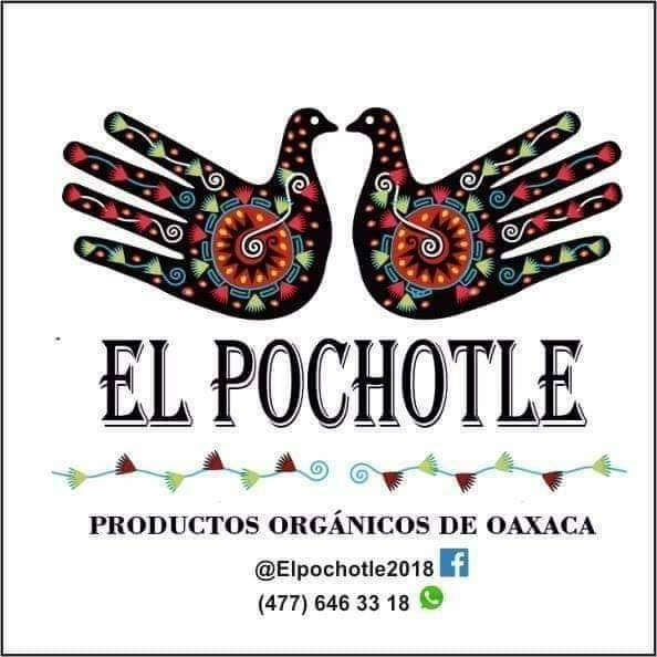 Productos Orgánicos De Oaxaca El Pochotle