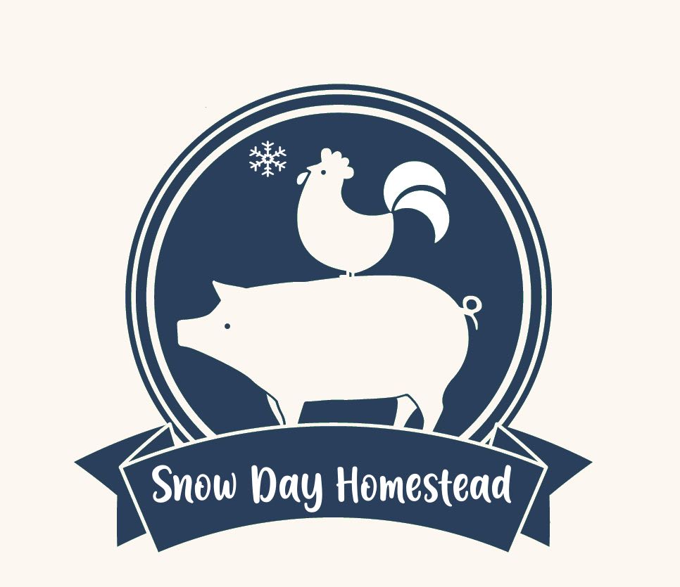 Snow Day Homestead
