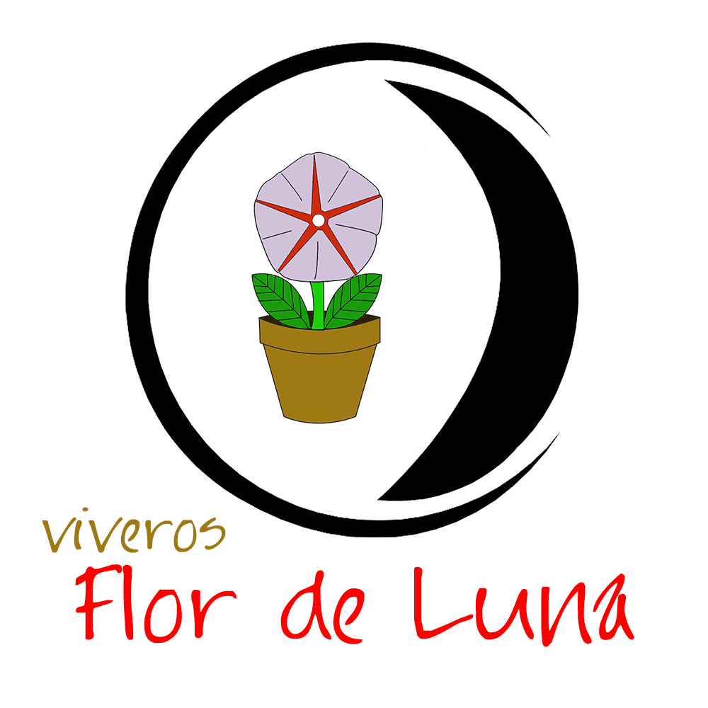 Vivero Flor de Luna