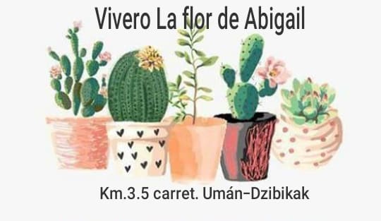 Vivero La flor de Abigail