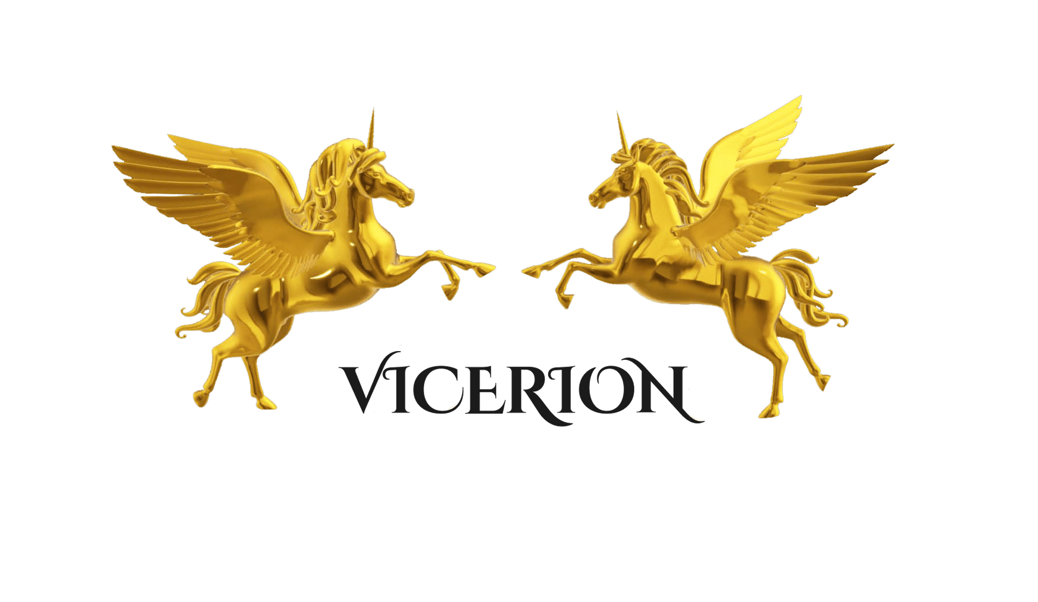 VICERION
