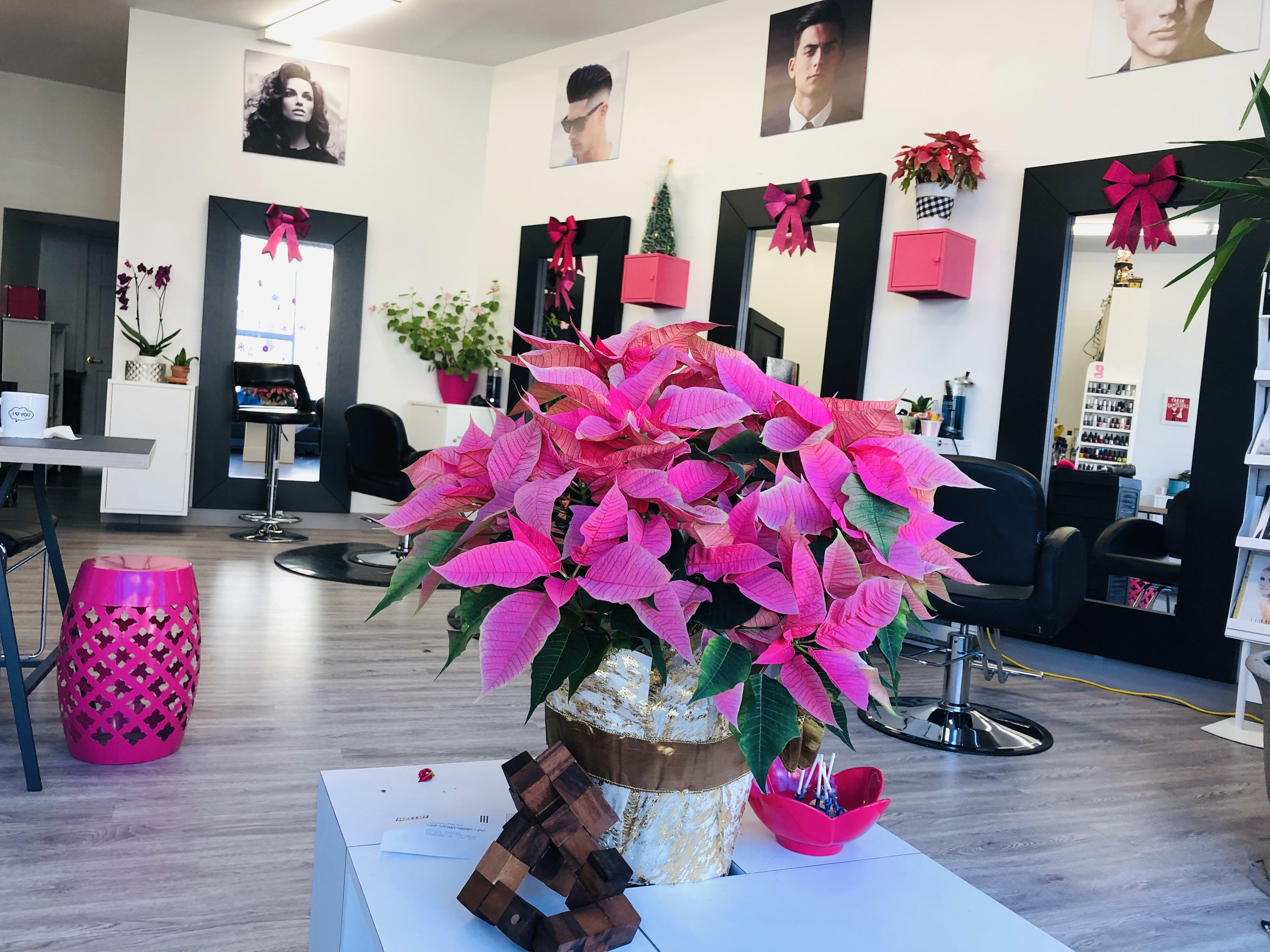 Hair Salon Gsalon