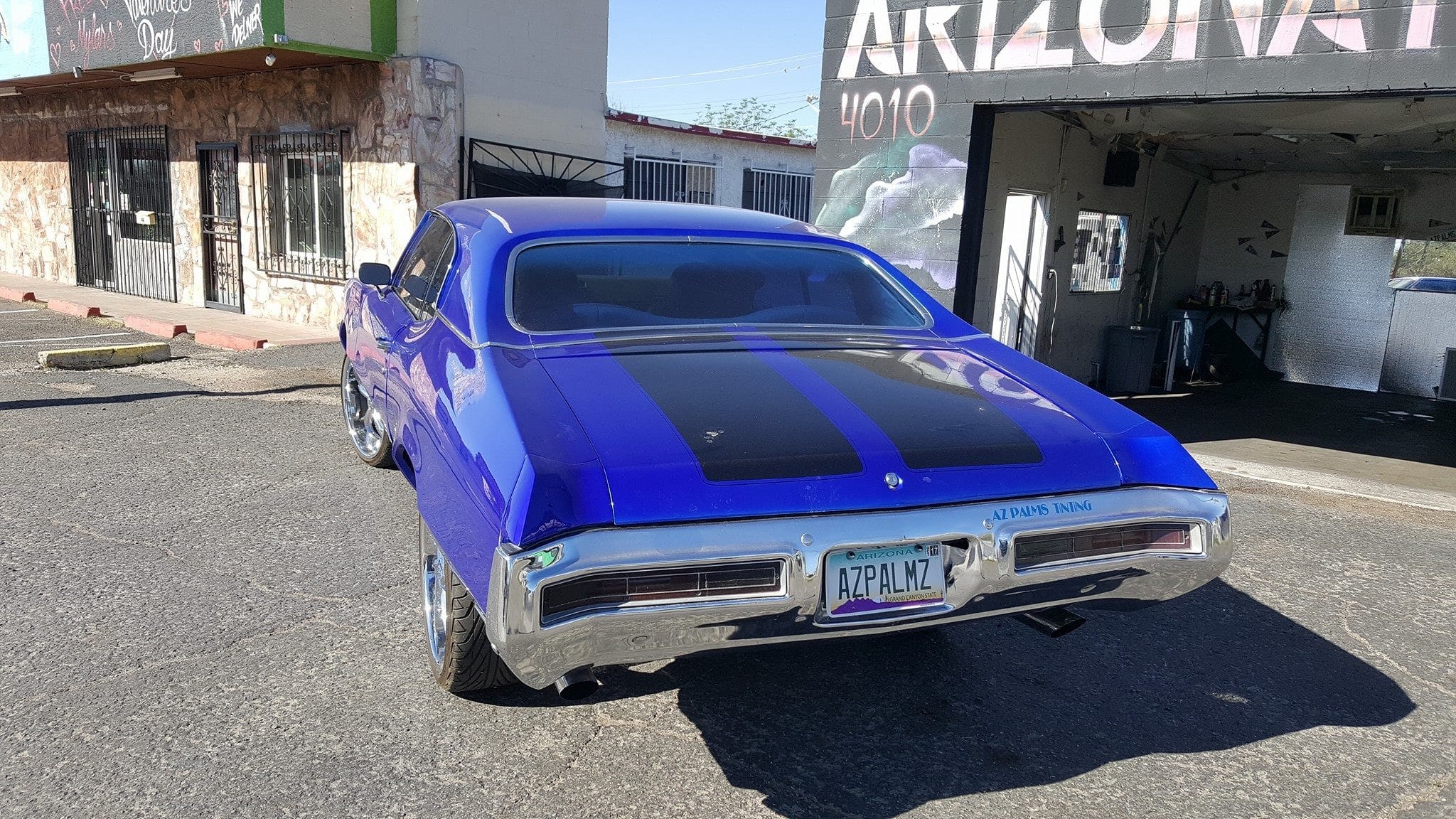 Arizona Palms Tinting