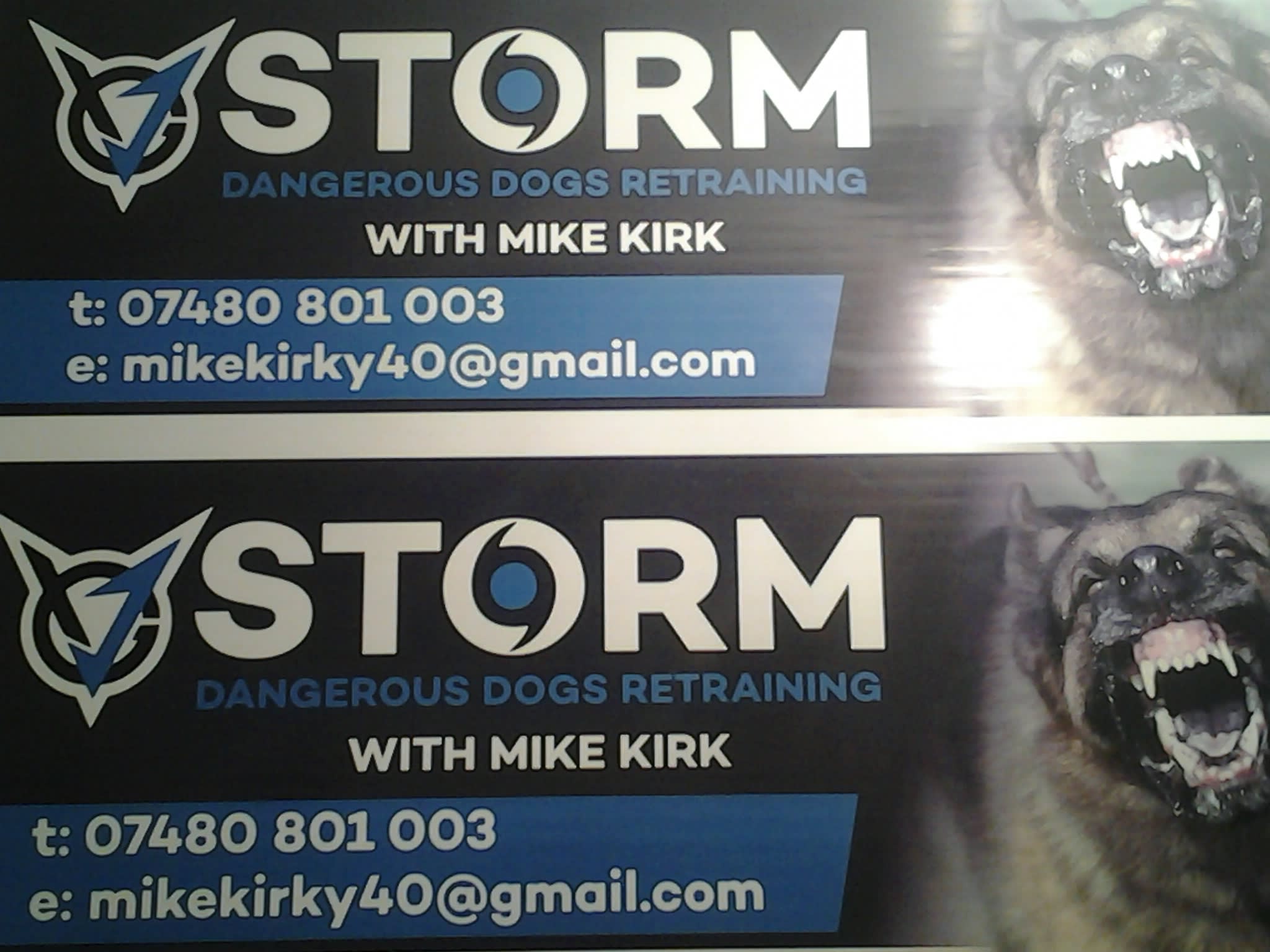 Storm Dangerous Dog Retraining Team