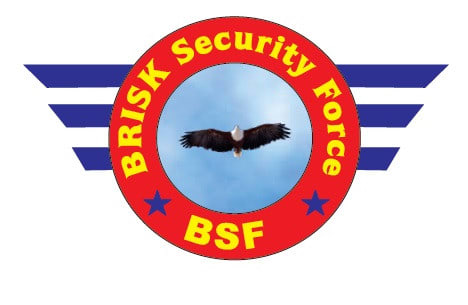 Brisk Security Force