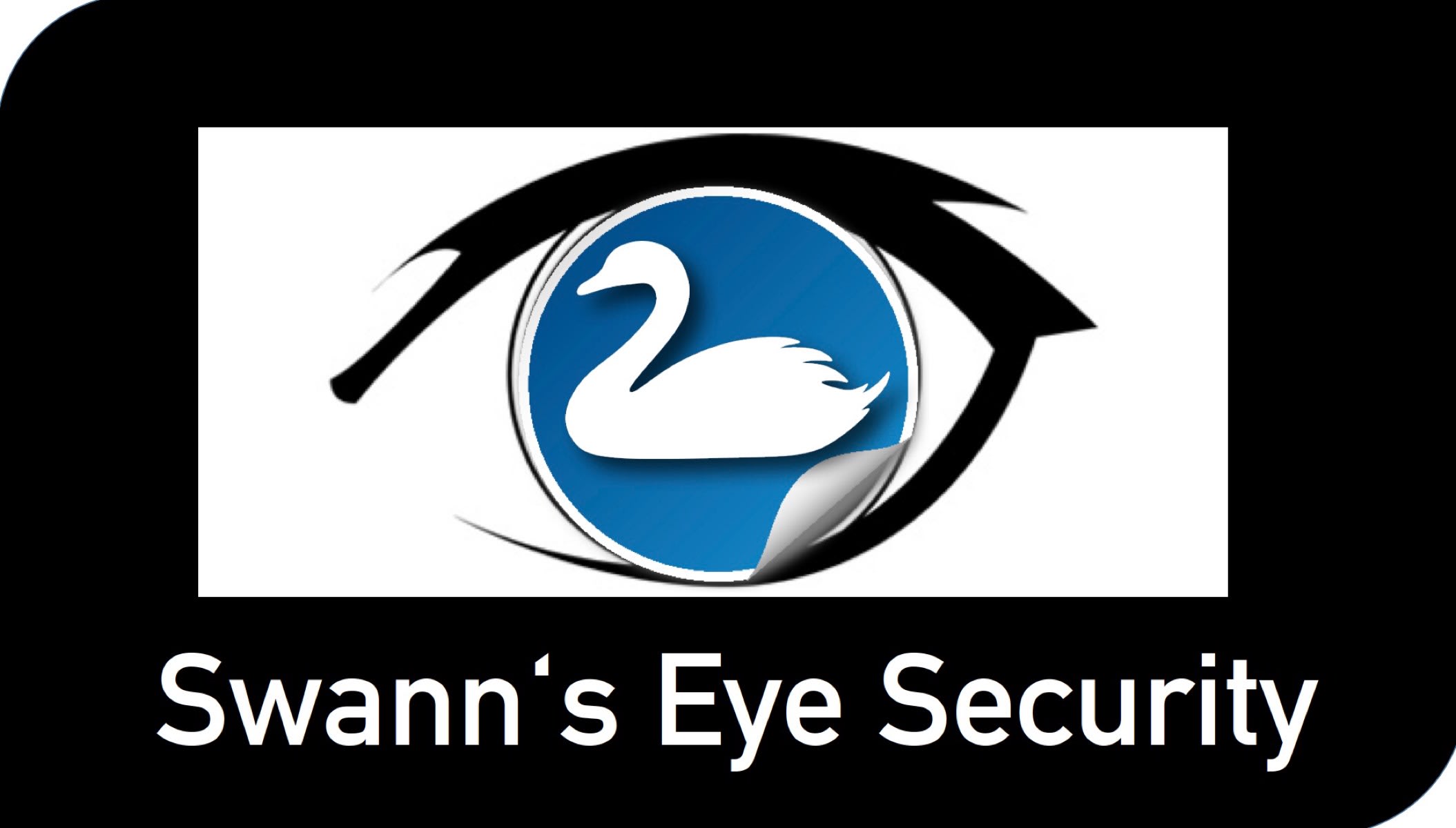 Swann Eye Security