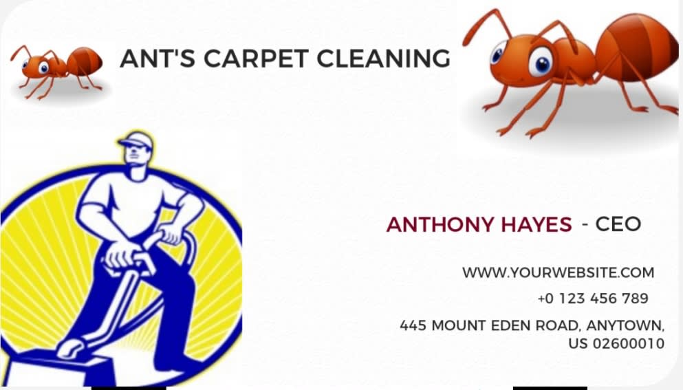 Ants Carpet Cleaning