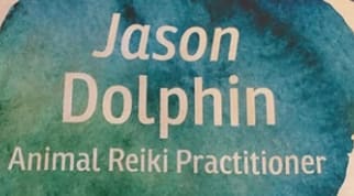 Jason Dolphin Animal Reiki Practitioner