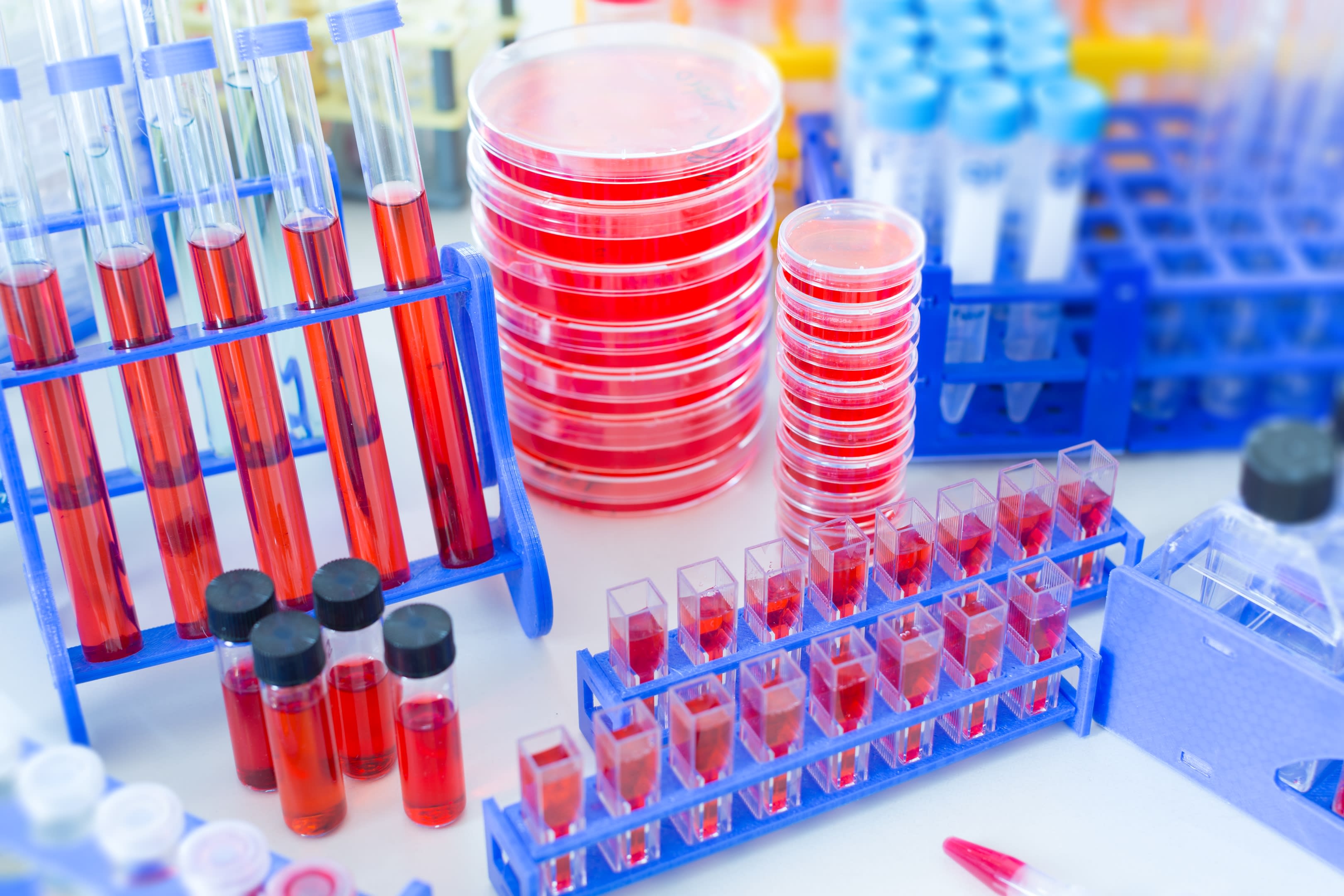 Ejemplos De Procedimientos Muestras POBLACI N Y C LCULO DE LA Ejemplos De Procedimientos Muestras POBLACI N Y C LCULO DE LA