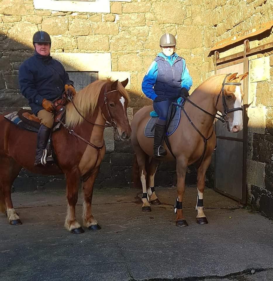 Pony Horse Purchases William Lowther 5th Generation Horse Dealer