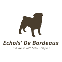 Echols' De Bordeaux