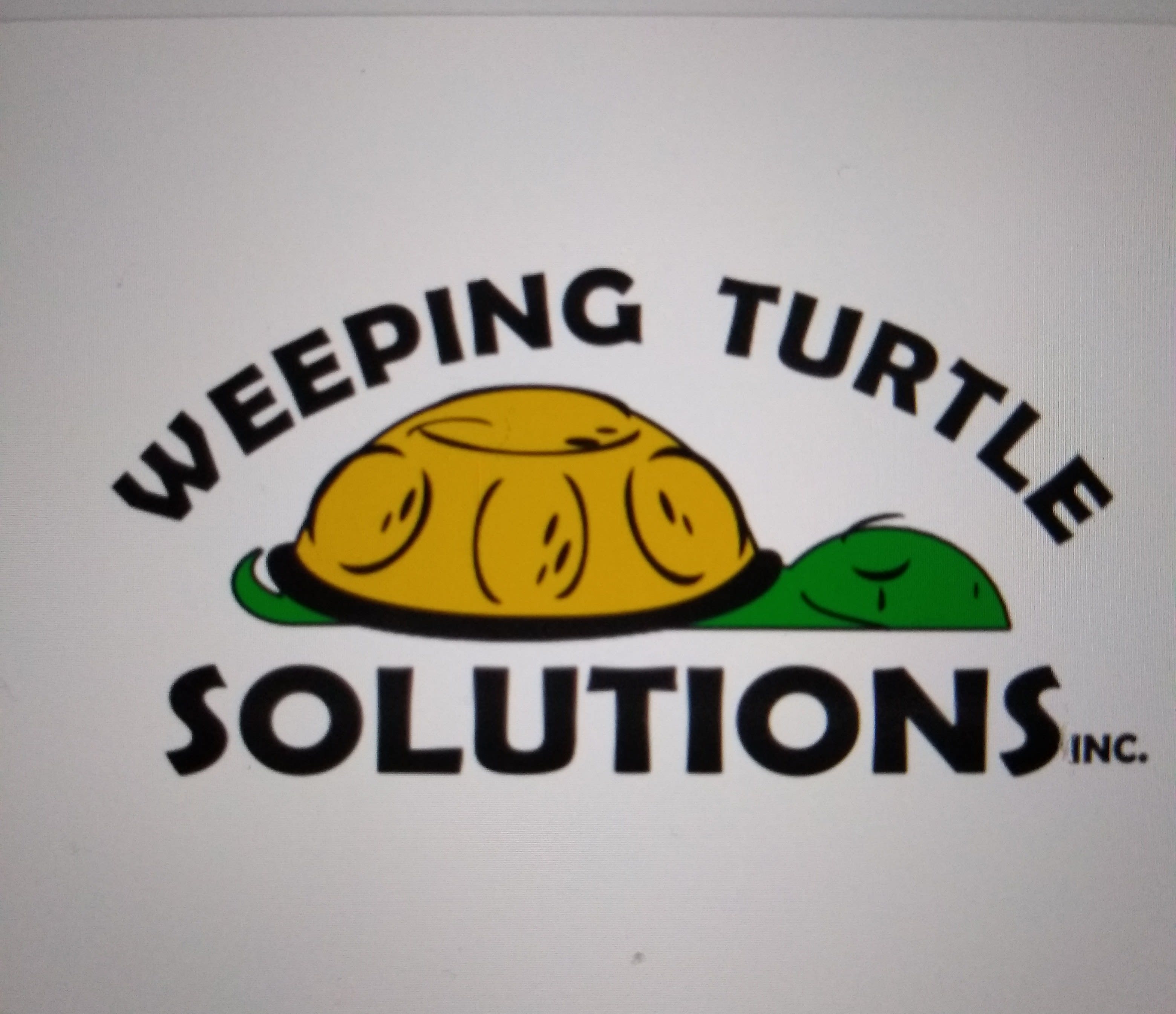 Weeping Turtle Solutions Cleaning co.