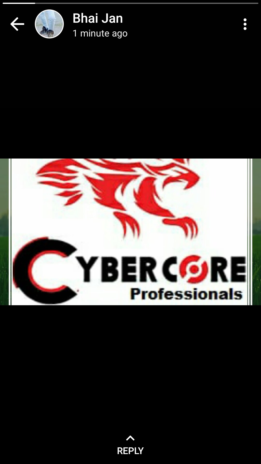 Cyber Core Professionals