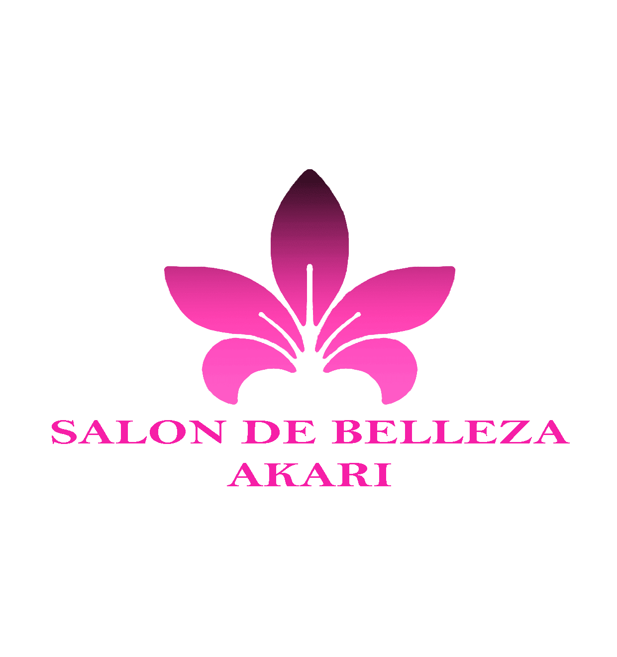Salón De Belleza Akari