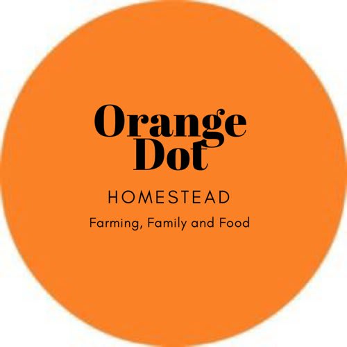 Orange Dot Homestead