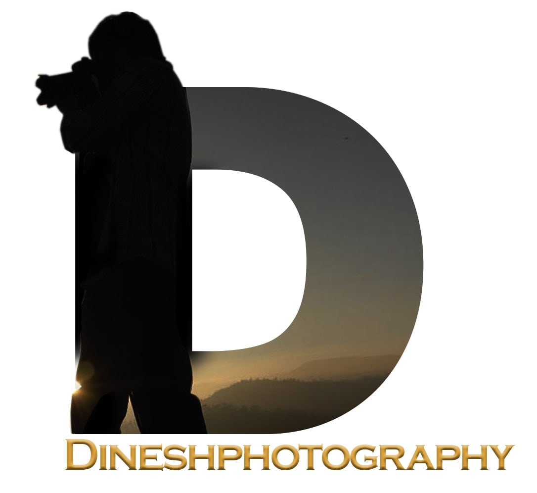 Dinesh Photography