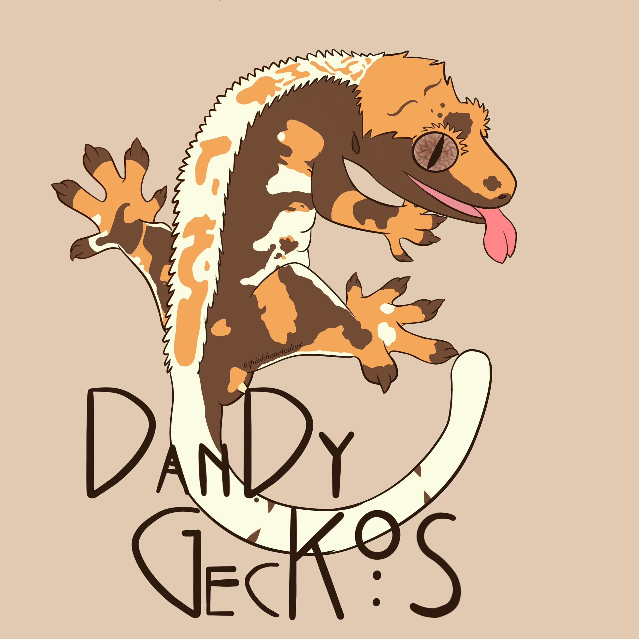 Dandy Geckos