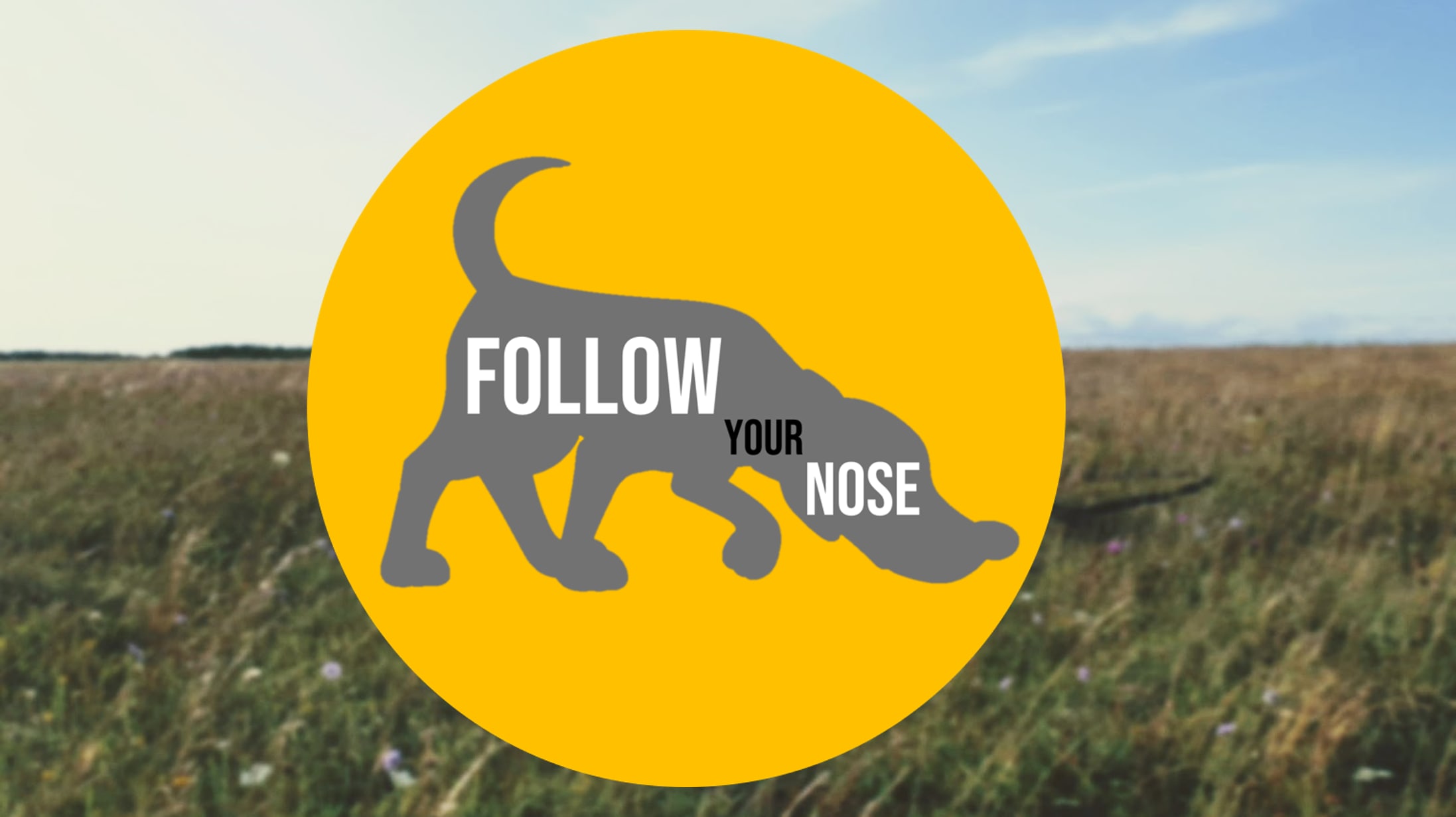 Follow Your Nose