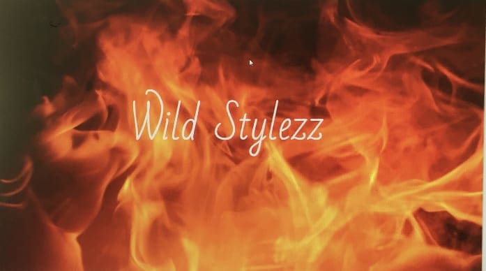 Wild Stylezz
