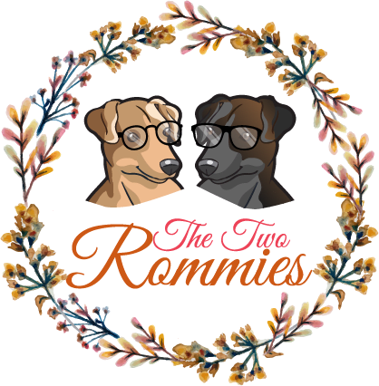 The Two Rommies
